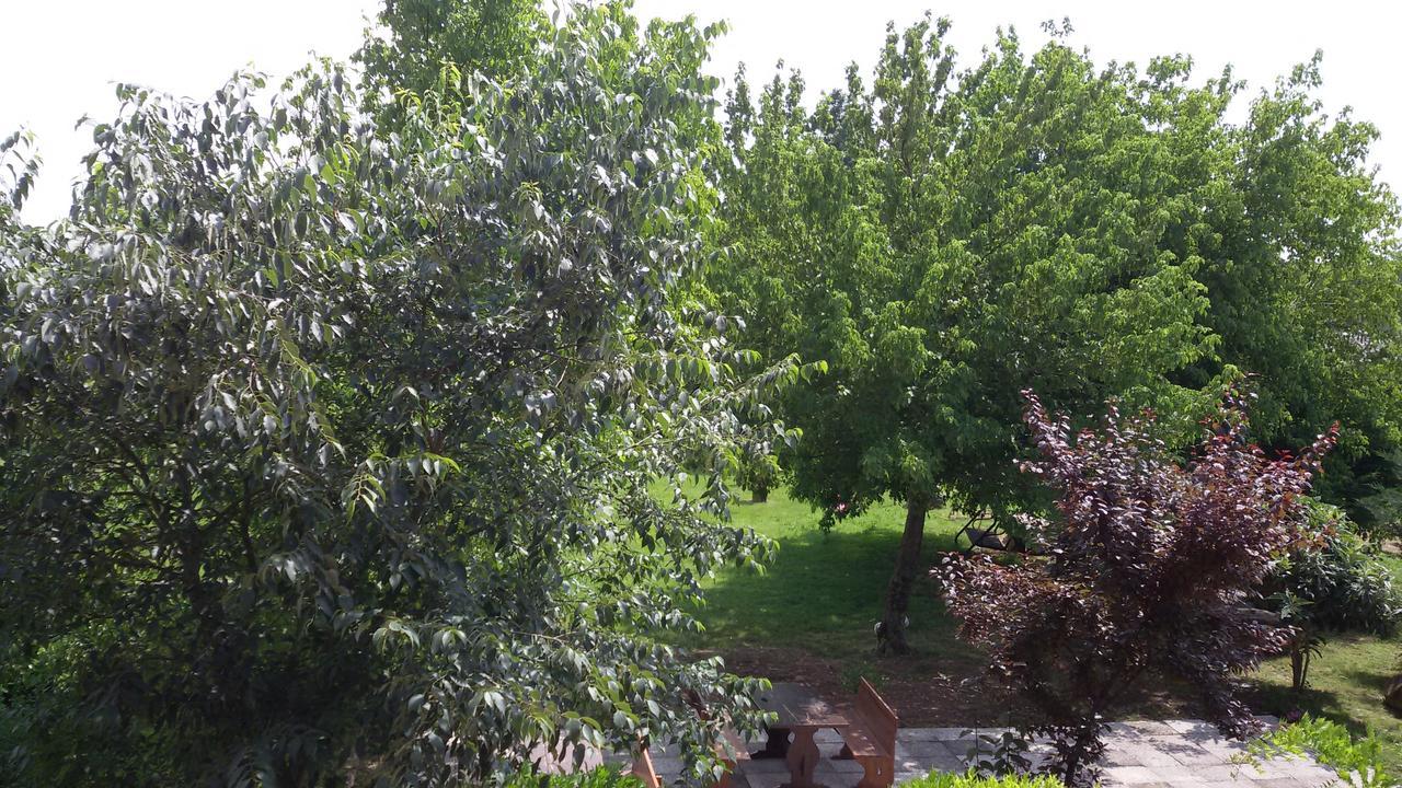 Agriturismo La Pace Villa Valeggio sul Mincio Exterior foto